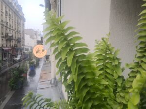 Mousson parisienne
