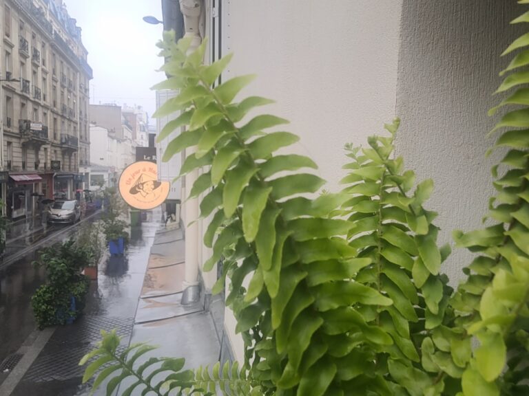 Mousson parisienne