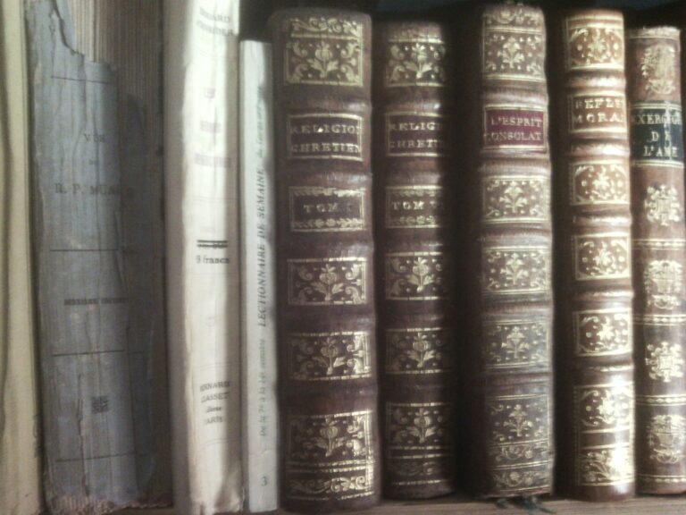 in omnes libros