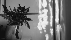 Reflets dans un mur d&rsquo;or blanc