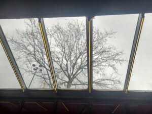 L’arbre, la verrière