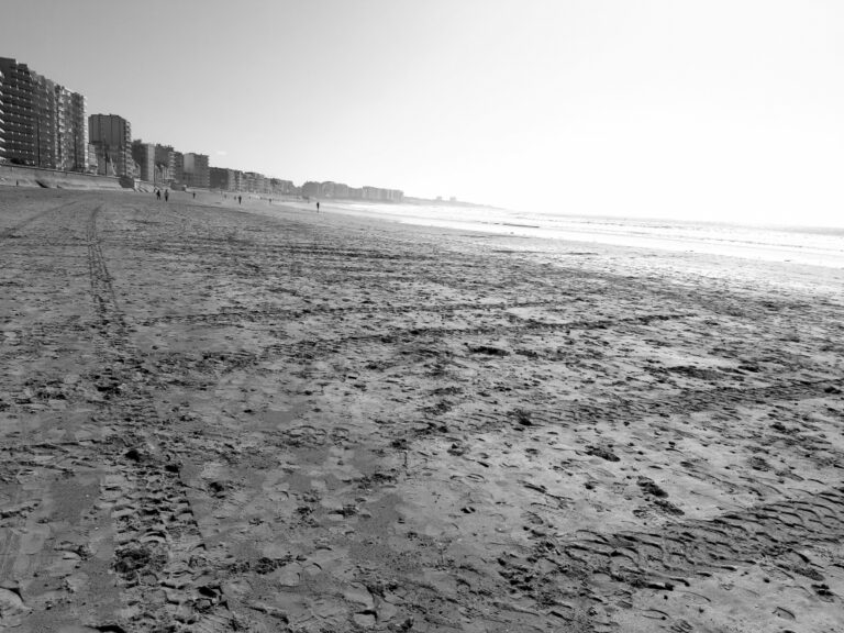 La plage pétillante