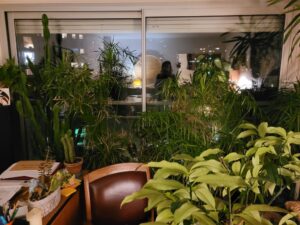 La forêt appartementale