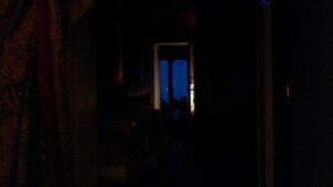 Bleu-nuit