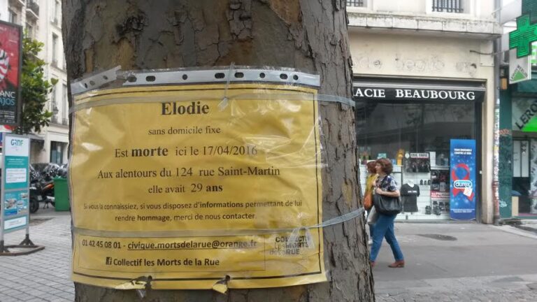 L’arbre d’Elodie