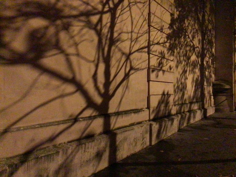 Septième arrondissement