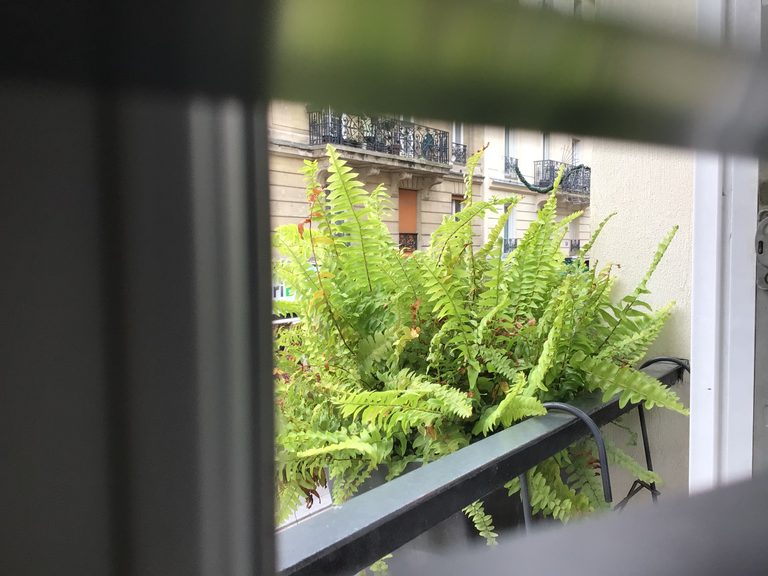 Quatorzième arrondissement
